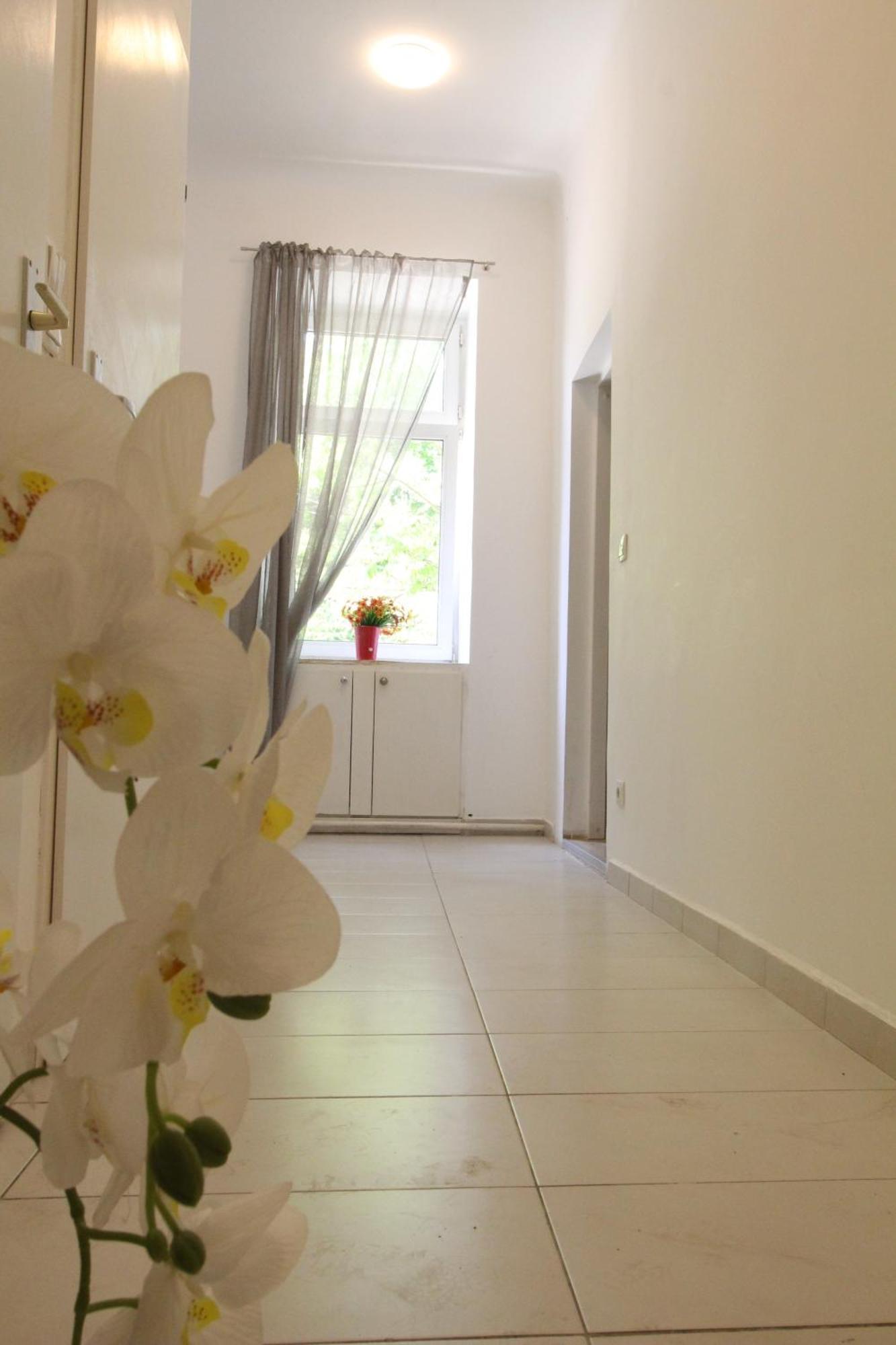 Séjour chez l'habitant Cozy In Floridsdorf Area Pr4 *